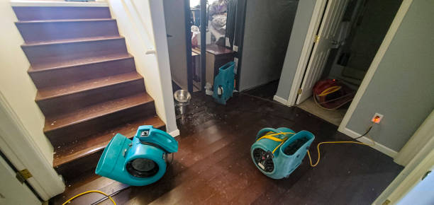 Best Water damage mitigation services  in Clearview, WA