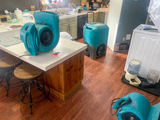  Clearview, WA Water damage restoration Pros