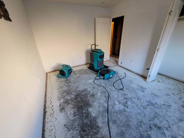 Best Emergency water damage restoration  in Clearview, WA