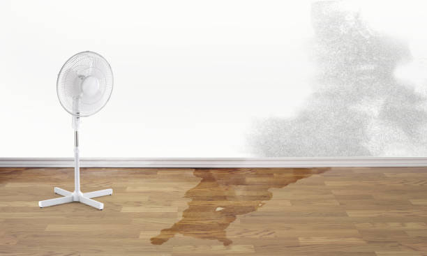 Best Flood restoration services  in Clearview, WA