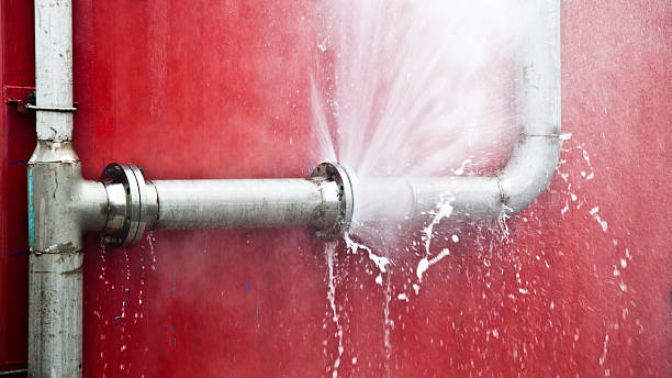 Best Water damage restoration process  in Clearview, WA
